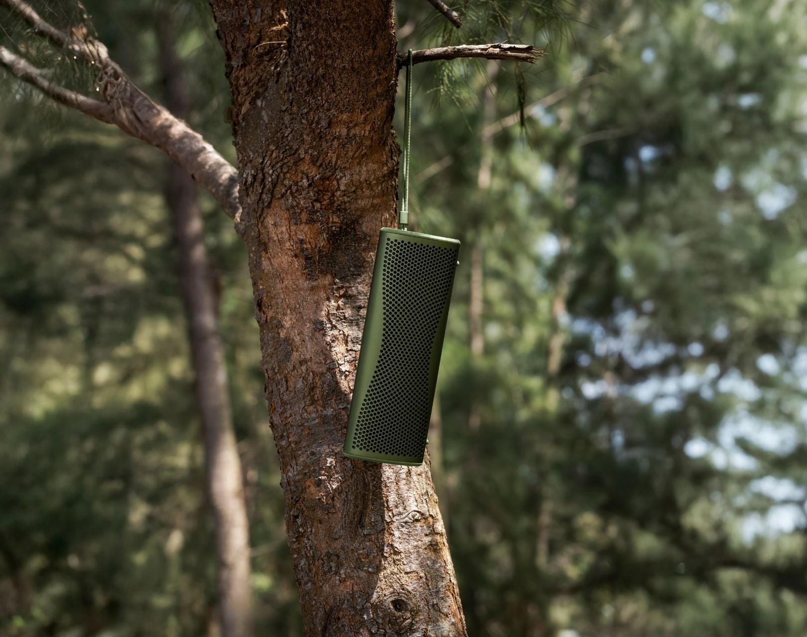 Green Muo portable speaking hanging in tree.